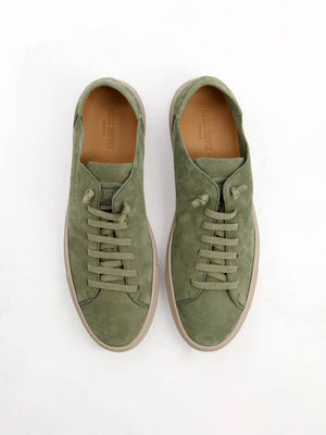 PRIMO COLLECTION OLIVE